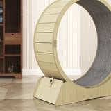 Cat Specific Treadmill