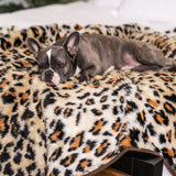 Winter Thick Dog Warm Pad