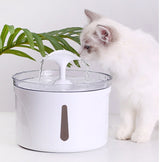 pet water dispenser